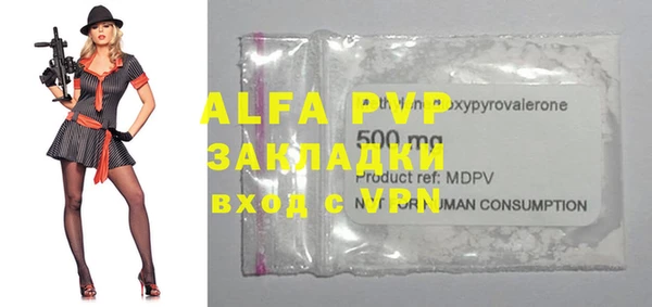 шишки Тотьма