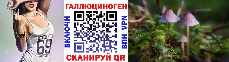 мега как войти  купить наркотик  Скопин  Псилоцибиновые грибы мицелий 
